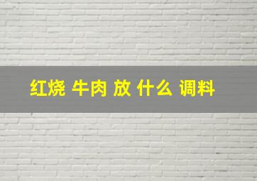 红烧 牛肉 放 什么 调料